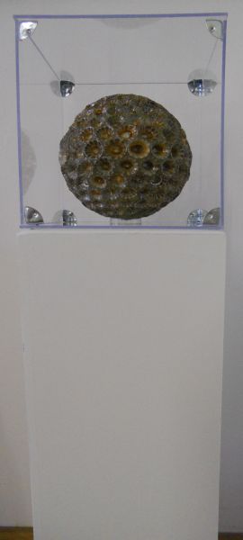 MW 08 (Normale Auflösung)